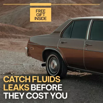 How to Identify Car Fluid Leaks Before They Get Costly